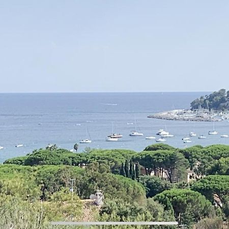 Les Citronniers - Splendide Vue Mer Acces Plage A Pieds A 5 Minutes Cavalaire-sur-Mer Exteriér fotografie